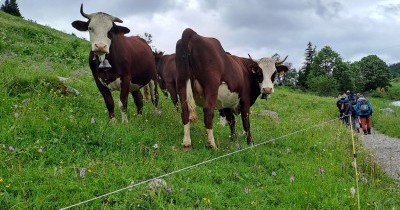 Les Aravis (Haute-Savoie) - Du 22 au 29 juin 2024