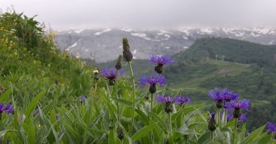 Les Aravis (Haute-Savoie) - Du 22 au 29 juin 2024