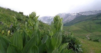 Les Aravis (Haute-Savoie) - Du 22 au 29 juin 2024