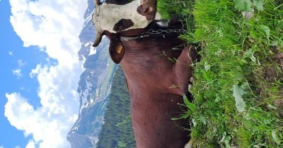 Les Aravis (Haute-Savoie) - Du 22 au 29 juin 2024