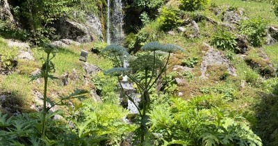 Les Aravis (Haute-Savoie) - Du 22 au 29 juin 2024