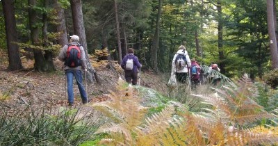 Rando Châtaignes à Oberbronn - 20 octobre 2024