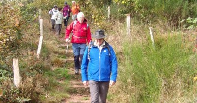 Rando d'Automne au Dabo - 13 octobre 2024