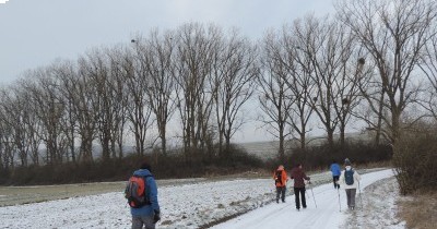 Marche hebdomadaire du mardi