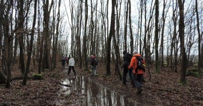 Marche hebdomadaire du mardi