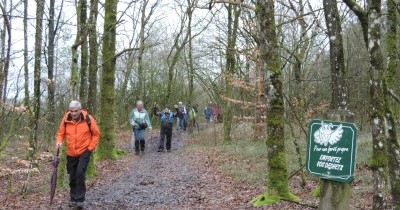 Marche hebdomadaire du mardi