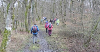 Marche hebdomadaire du mardi