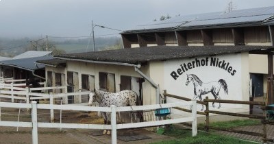 Marche hebdomadaire du mardi