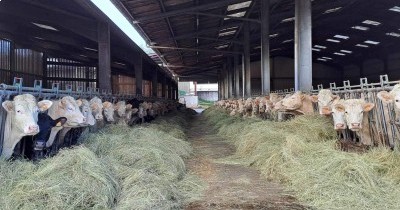 Marche hebdomadaire du mardi