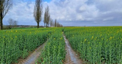 Marche hebdomadaire du mardi