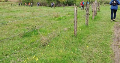 Marche hebdomadaire du mardi