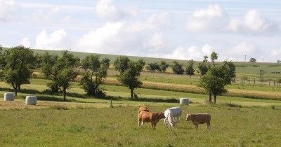 Marche hebdomadaire du mardi