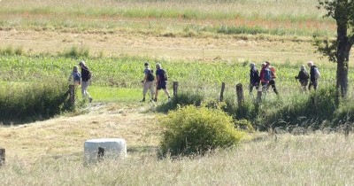 Marche hebdomadaire du mardi