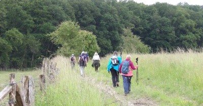 Marche hebdomadaire du mardi