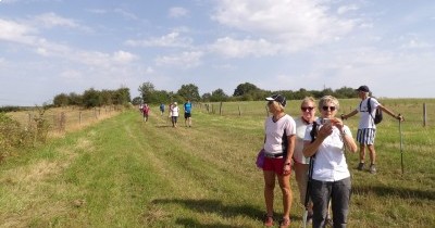 Marche hebdomadaire du mardi