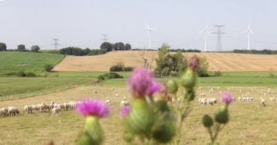 Marche hebdomadaire du mardi