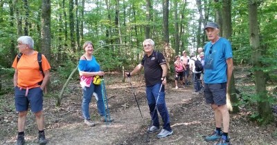 Marche hebdomadaire du mardi