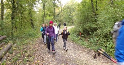 Marche hebdomadaire du mardi