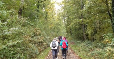 Marche hebdomadaire du mardi