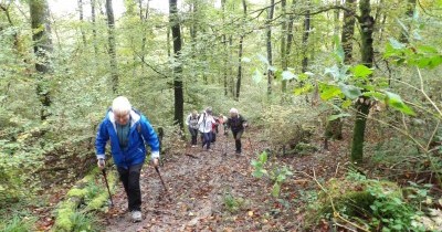 Marche hebdomadaire du mardi