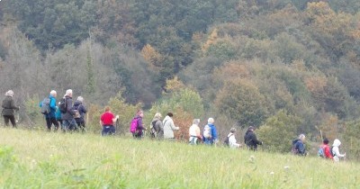 Marche hebdomadaire du mardi