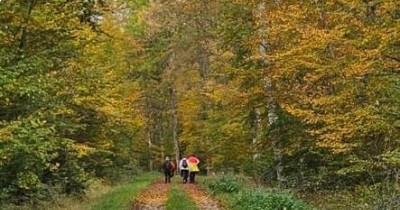 Marche hebdomadaire du mardi