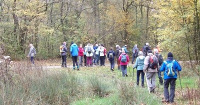 Marche hebdomadaire du mardi