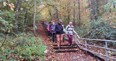 Marche hebdomadaire du mardi