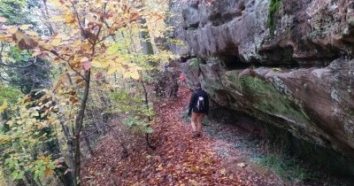 Marche hebdomadaire du mardi