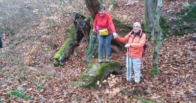 Marche hebdomadaire du mardi