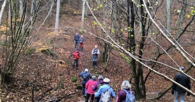 Marche hebdomadaire du mardi