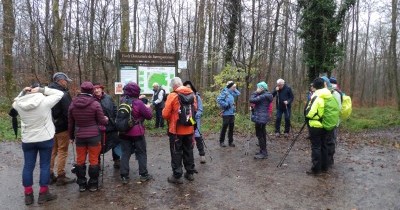 Marche hebdomadaire du mardi