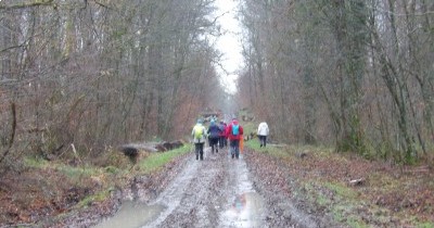 Marche hebdomadaire du mardi