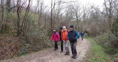 Marche hebdomadaire du mardi