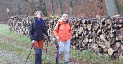 Marche hebdomadaire du mardi